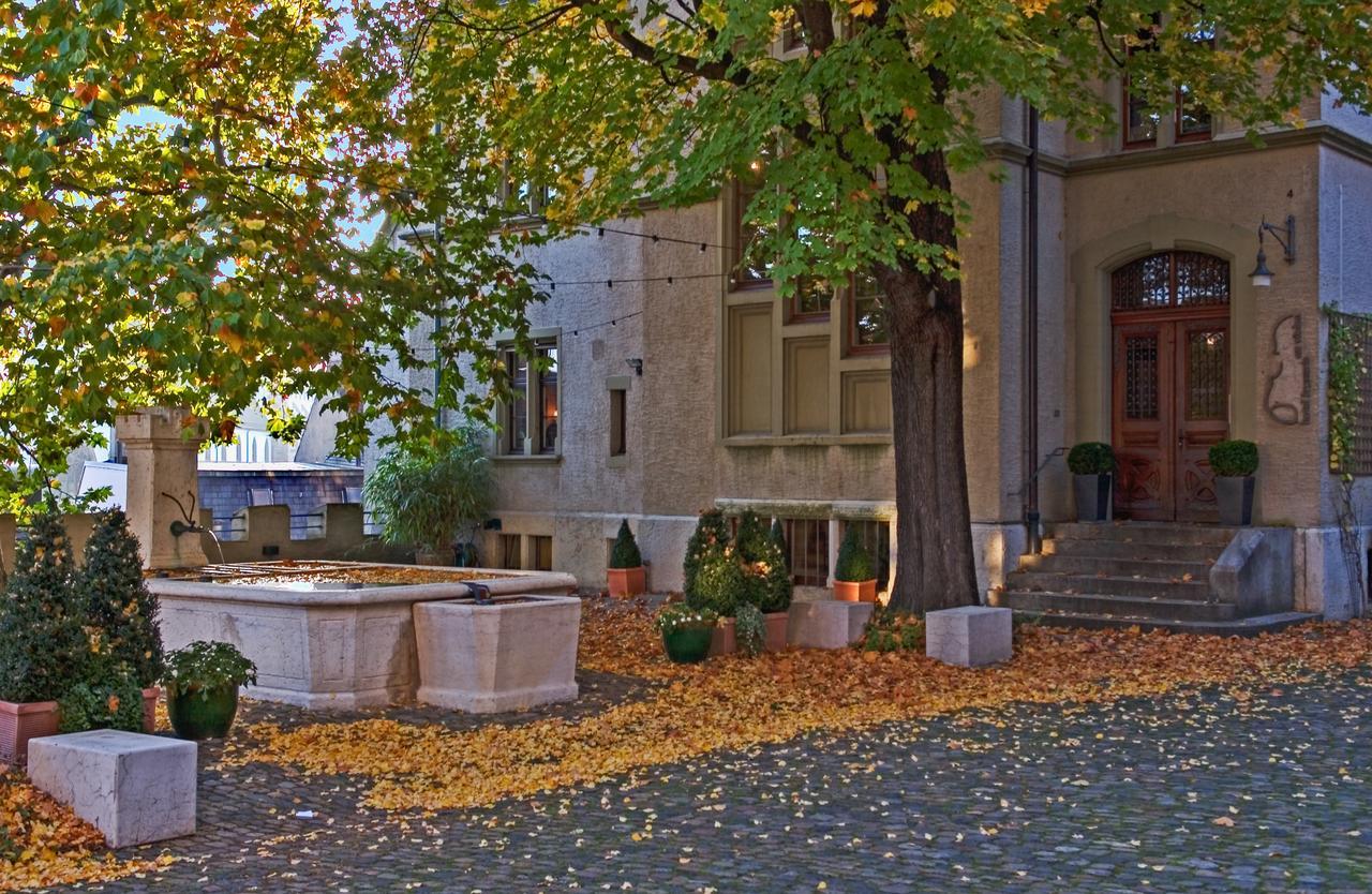 Hotel Brasserie Au Violon بازل المظهر الخارجي الصورة
